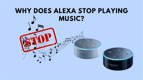 Why Does My Alexa Stop Playing Music, and the Intricacies Behind Its Musical Interruptions